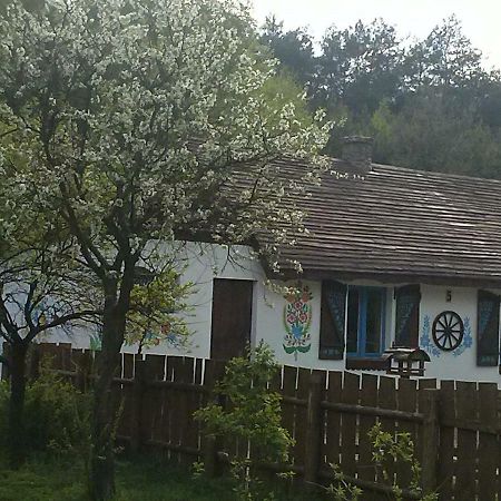 Zagroda Zalipie Gostynin Exterior foto