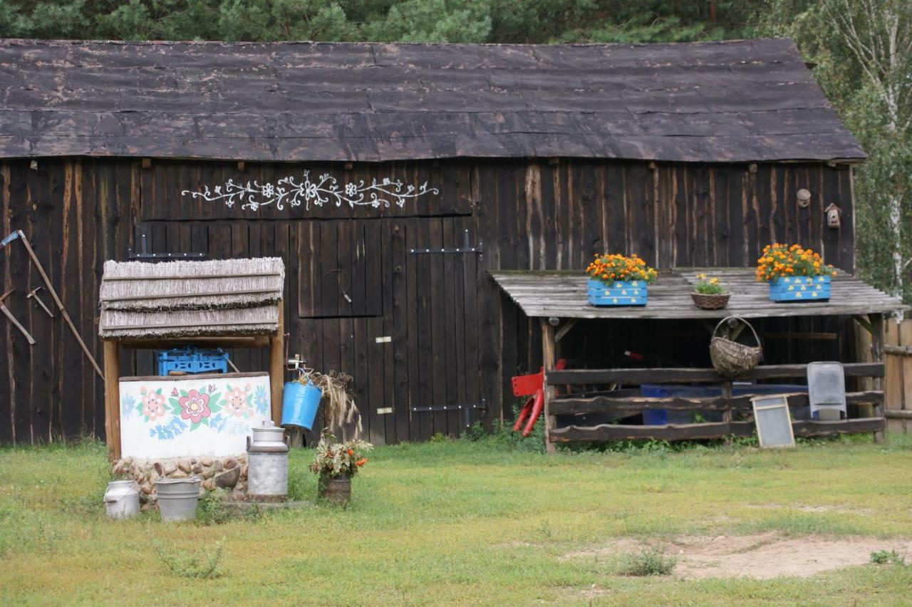 Zagroda Zalipie Gostynin Exterior foto