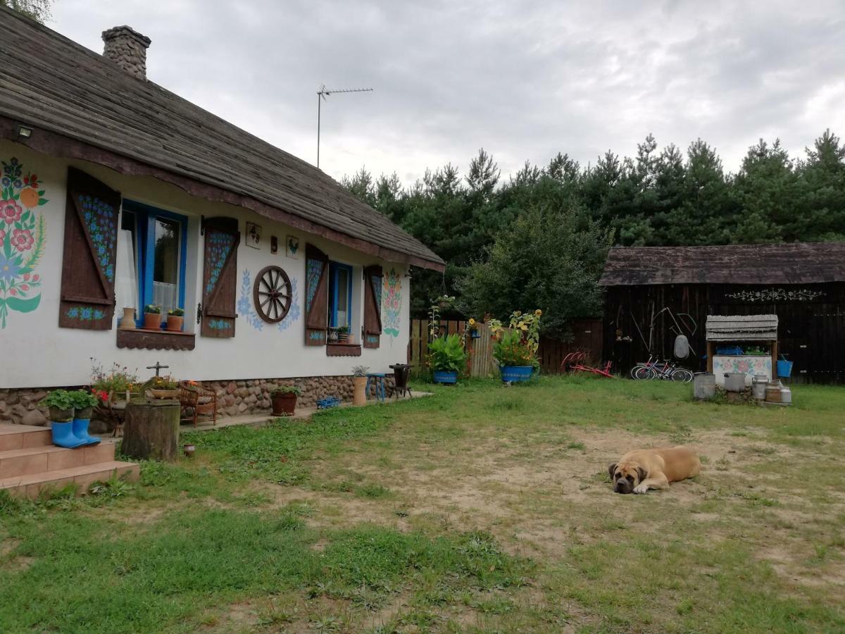 Zagroda Zalipie Gostynin Exterior foto