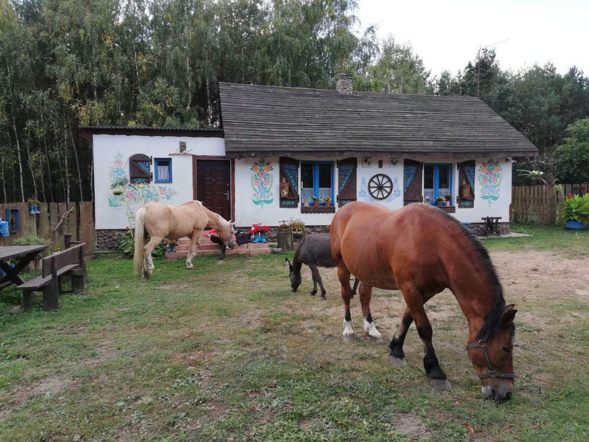 Zagroda Zalipie Gostynin Exterior foto