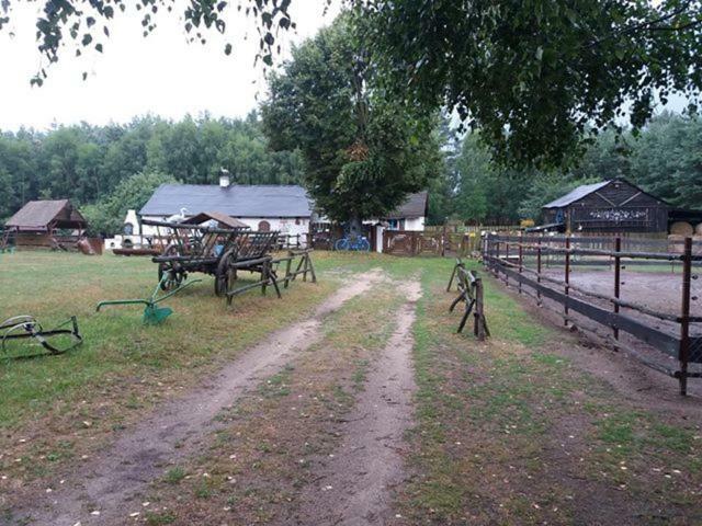 Zagroda Zalipie Gostynin Exterior foto